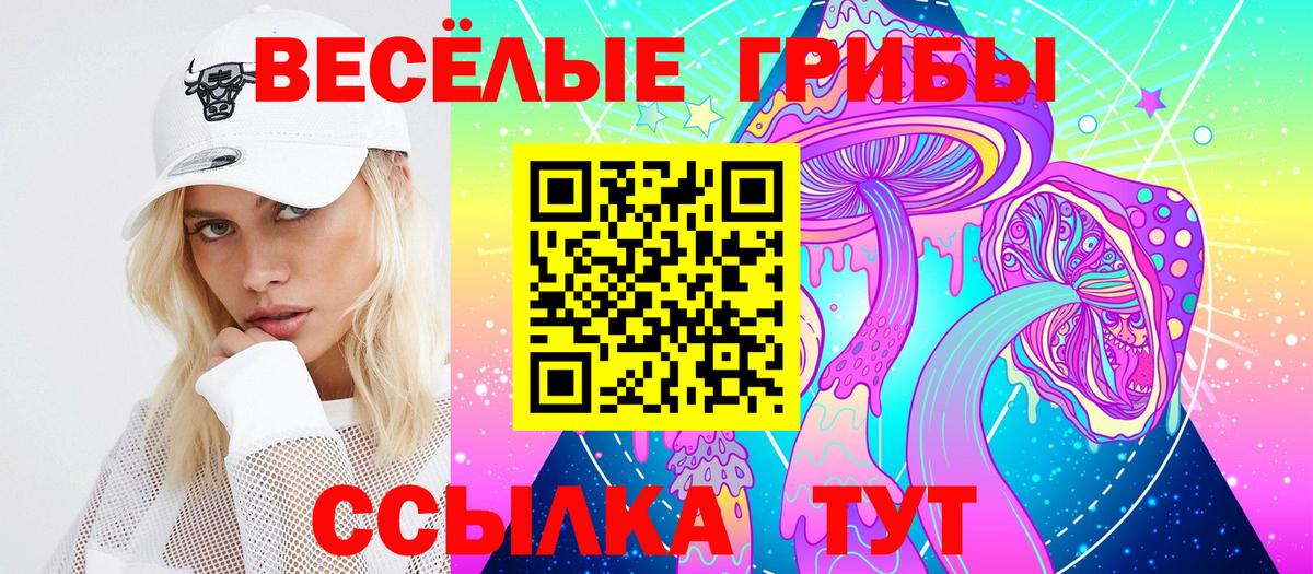Галлюциногенные грибы MAGIC MUSHROOMS  Псилоцибиновые грибы MAGIC MUSHROOMS  Донецк  Вход с VPN 