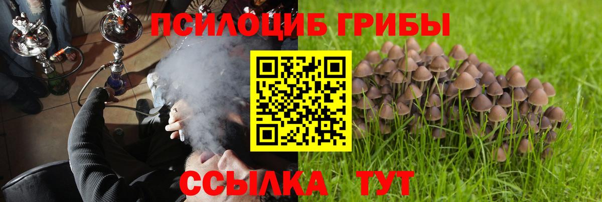 Бошки Шишки Донецк